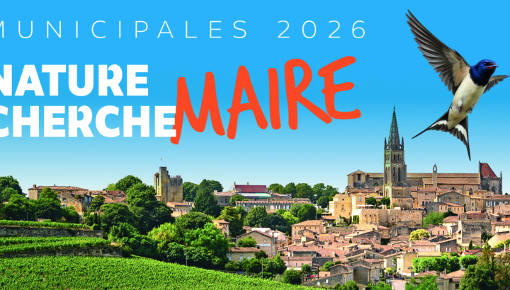 Municipales, portons la voix de la nature en Poitou-Charentes !